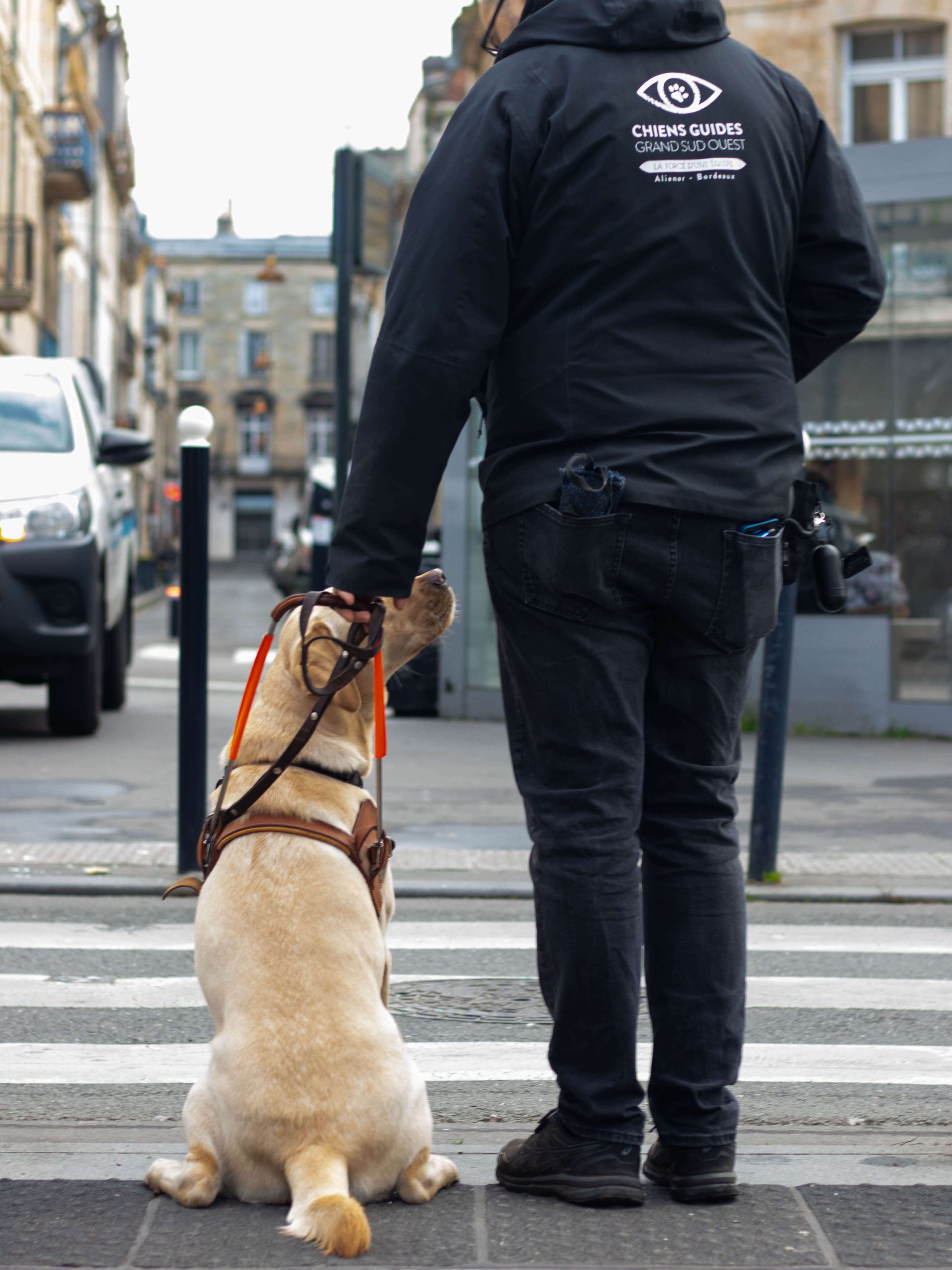 Chien guides client Maison Charlotte chien 8