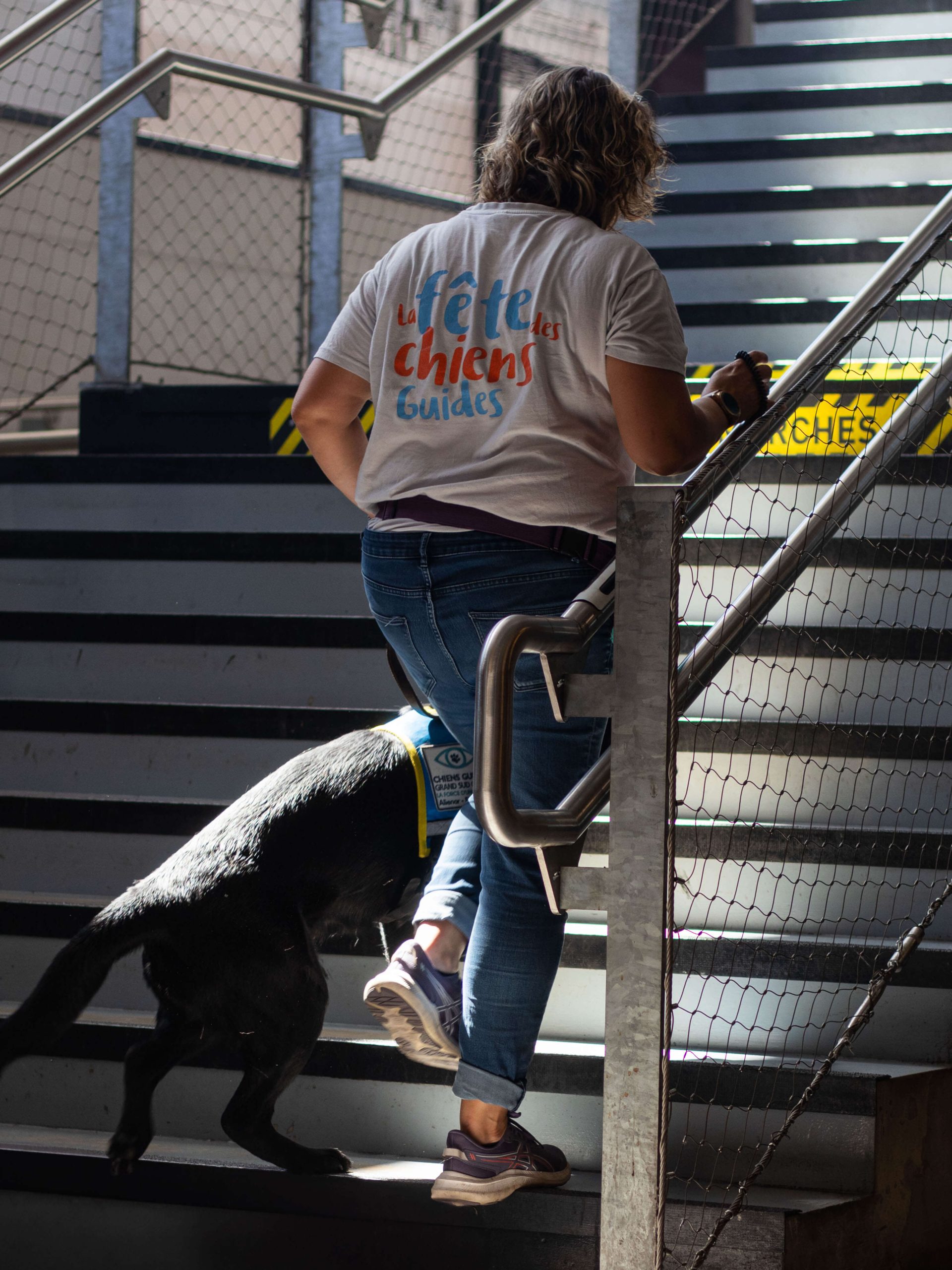 École de chiens guides - gare saint jean 1